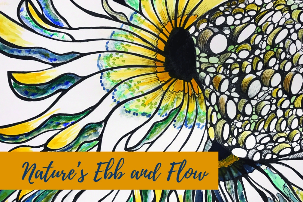 Nature's Ebb and Flow exhibition image